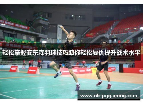 轻松掌握安东森羽球技巧助你轻松复仇提升战术水平