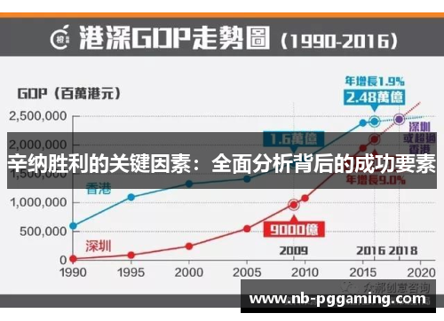 辛纳胜利的关键因素：全面分析背后的成功要素