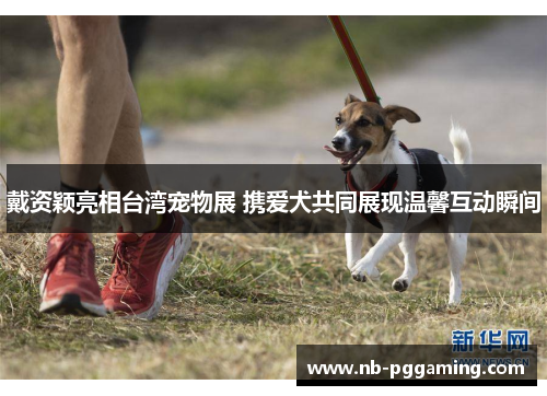 戴资颖亮相台湾宠物展 携爱犬共同展现温馨互动瞬间