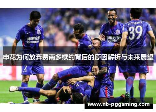 申花为何放弃费南多续约背后的原因解析与未来展望